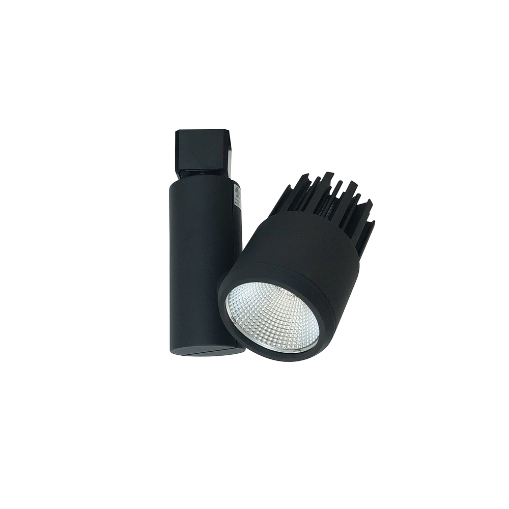 Aiden LED Track Head, 1250lm / 14W, 3000K, Spot/Flood, Black