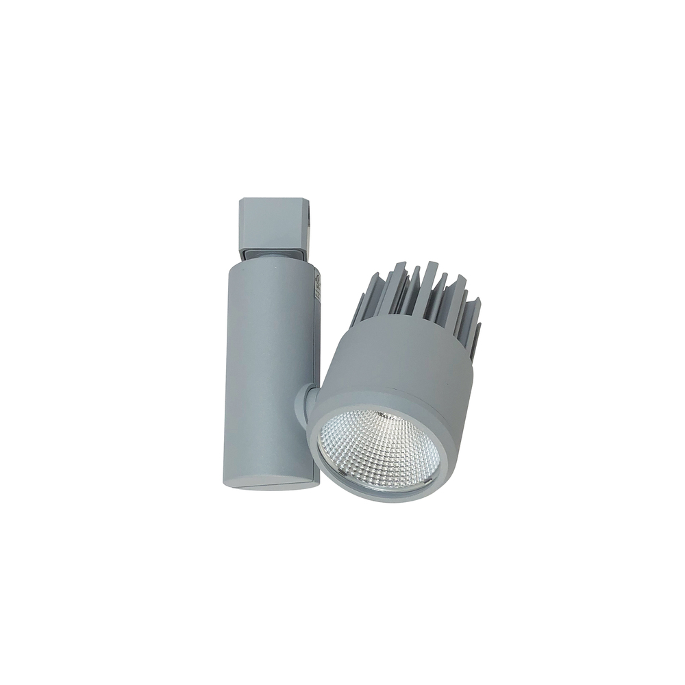 Aiden LED Track Head, 1250lm / 14W, 3000K, Spot/Flood, Silver