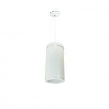 Nora NYLD2-6P10130WWW4 - 6" Cobalt Pendant Mount Cylinder, White, 1000L, 3000K, White/White Reflector, 120V