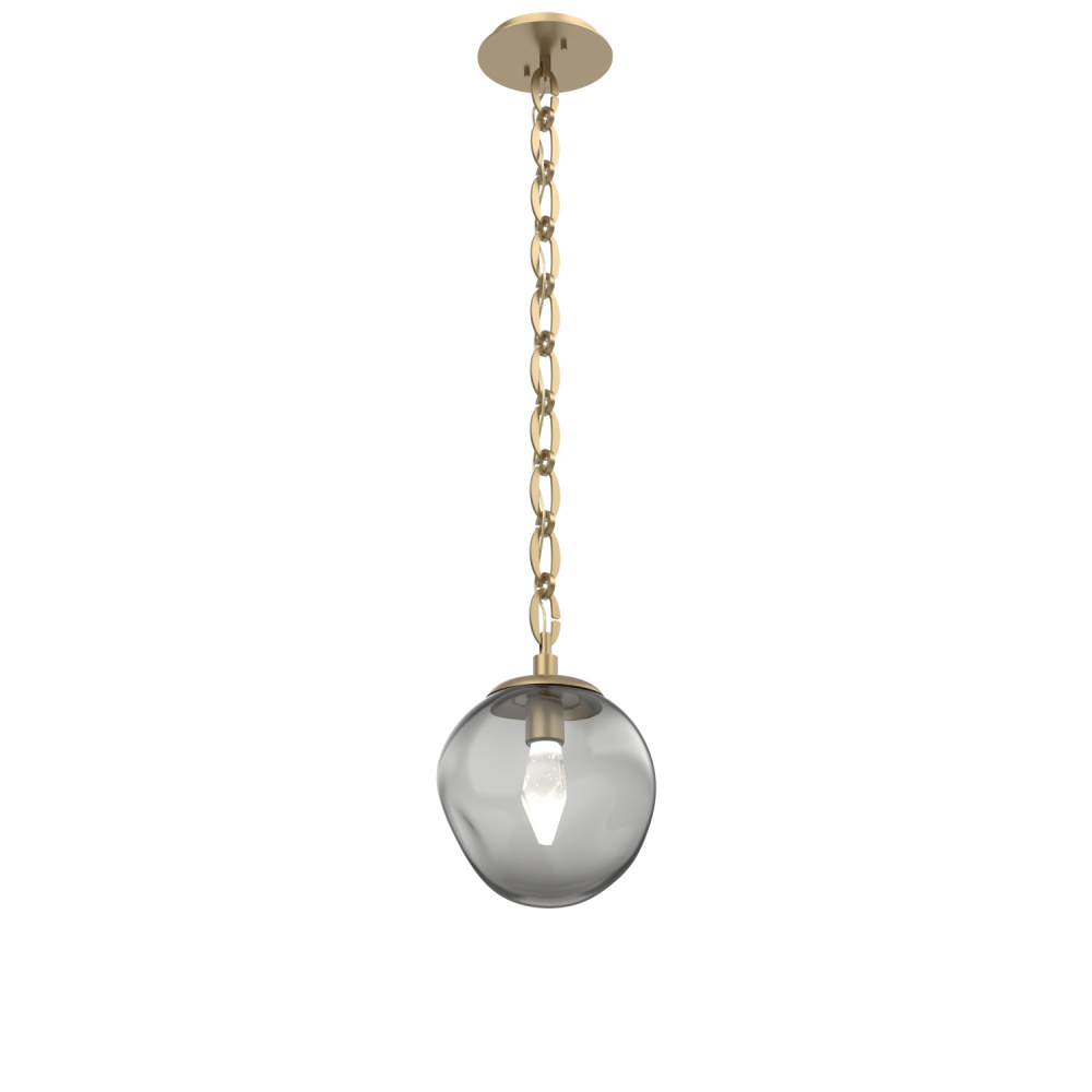 Aster Round Single Pendant with Chain (LED)