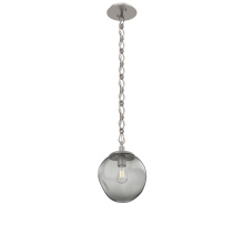 Hammerton LNB0062-01-BS-S-CH1-E2 - Aster Round Single Pendant Chain (Bulb)