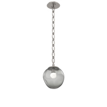 Hammerton LNB0066-01-BS-FS-CH2-L1 - Aster Round Single Pendant Chain (LED)