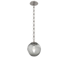 Hammerton LNB0066-01-BS-GS-CH2-L1 - Aster Round Single Pendant Chain (LED)