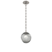 Hammerton LNB0066-01-BS-ZS-CH1-L3 - Aster Round Single Pendant Chain (LED)