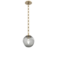 Hammerton LNB0066-01-GB-GS-CH3-L3 - Aster Round Single Pendant with Chain (LED)