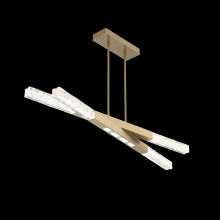 Hammerton PLB0060-50-GB-GC-001-L1 - Axis Pivot Linear - 50-Inch