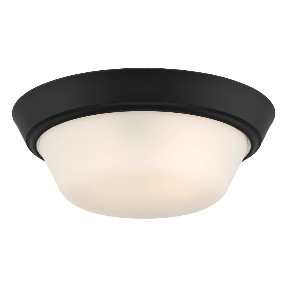 P350303-031 2-L 13IN FLUSHMOUNT