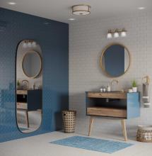 PROG_Bathroom_Vintage_P300428-163_P350254-163_3D_appshot.jpg