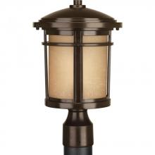 Progress P6424-2030K9 - Wish Collection One-Light LED Post Lantern