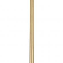 Progress P8601-12 - P8601-12 STEM EXTENSION KIT