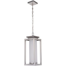 Craftmade ZA1321-SS-LED - Vailridge 1 Light Large LED Outdoor Pendant in Stainless Steel