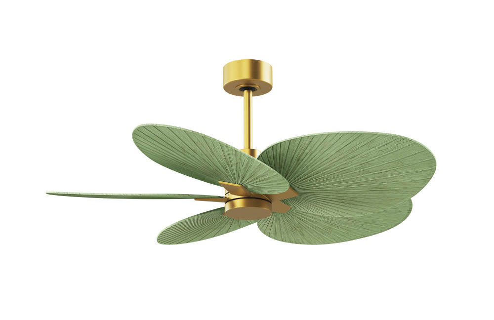 Alessandra Tropical - Five Blade Ceiling Fan - Brushed Brass Finish - Palm Leaf Blades