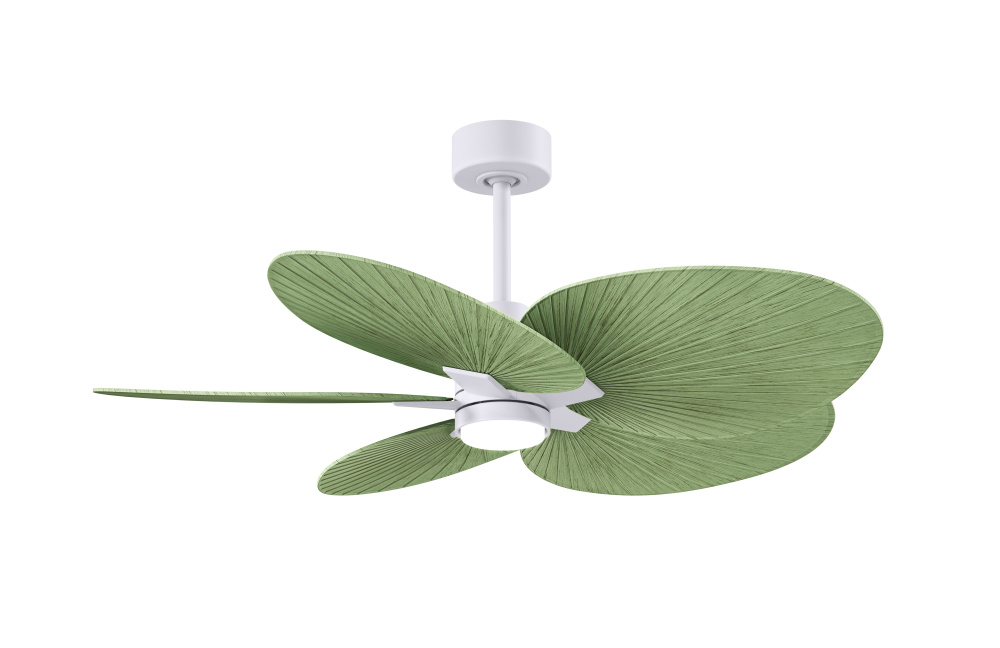 Alessandra Tropical - Five Blade Ceiling Fan - 5CCT Integrated LED - Textured Bronze Finish