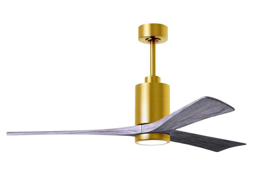 Patricia - 3 - 60" Three Blade Ceiling Fan - 5CCT Integrated LED - Brushed Brass Finish