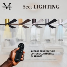 5CCTLighting-IR3HLK.jpg