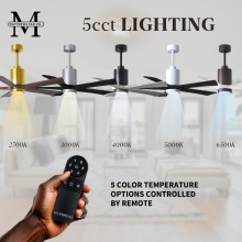 5CCTLighting-PA5.jpg