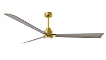 Matthews Fan Company AKLK-BRBR-GA-72 - Alessandra - LK - Brushed Brass - Gray Ash Tone Blades - 72" Blades - 10" Downrod