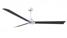 Matthews Fan Company AKLK-MWH-BK-72 - Alessandra - LK - Matte White - Matte Black Blades - 72" Blades - 10" Downrod