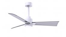 Matthews Fan Company AKLK-MWH-BN-42 - Alessandra - LK - Matte White - Brushed Nickel Blades - 42" Blades - 10" Downrod