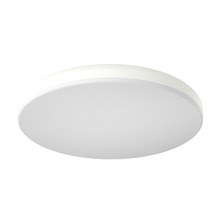 RAB Lighting CRVFAS-19R-32-9CCT-UNV-W/MVS - SURFACE & FLUSH MOUNTS 2450 LUMENS CRV FIELD ADJUSTABLES SURFACE MOUNT SMOOTH 19 INCH ROUND 32W 90