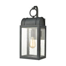 ELK Home Plus 45482/1 - Heritage Hills 1-Light Outdoor Sconce in Aged Zinc with Seedy Glass Enclosure