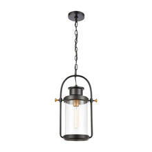 ELK Home Plus 46672/1 - Wexford 1-Light Hanging in Matte Black with Seedy Glass
