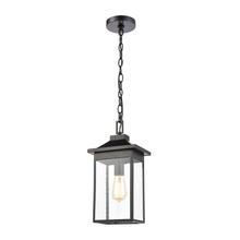 ELK Home Plus 46703/1 - Lamplighter 1-Light Hanging in Matte Black with Seedy Glass