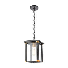 ELK Home Plus 46723/1 - Vincentown 1-Light Hanging in Matte Black with Seedy Glass