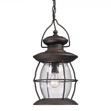 ELK Home Plus 47043/1 - Village Lantern 1-Light Outdoor Hanging Lantern in Weathered Charcoal