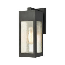 ELK Home Plus 57300/1 - Angus 1-Light Outdoor Sconce in Charcoal with Seedy Glass Enclosure