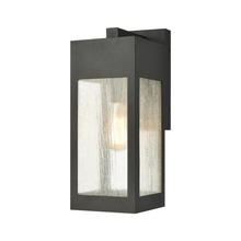 ELK Home Plus 57301/1 - Angus 1-Light Outdoor Sconce in Charcoal with Seedy Glass Enclosure