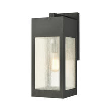 ELK Home Plus 57302/1 - Angus 1-Light Outdoor Sconce in Charcoal with Seedy Glass Enclosure