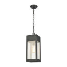 ELK Home Plus 57303/1 - Angus 1-Light Outdoor Pendant in Charcoal with Seedy Glass Enclosure