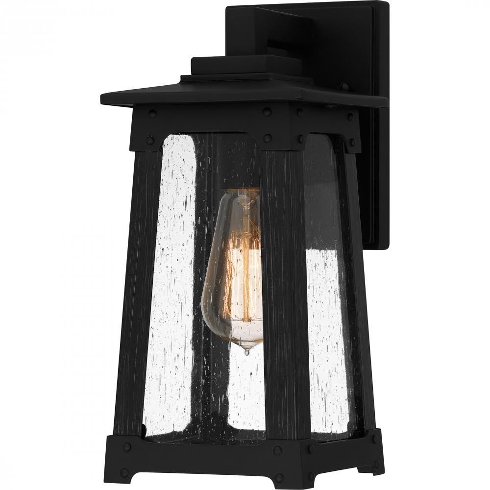 Drescher 1-Light Matte Black Outdoor Wall Lantern