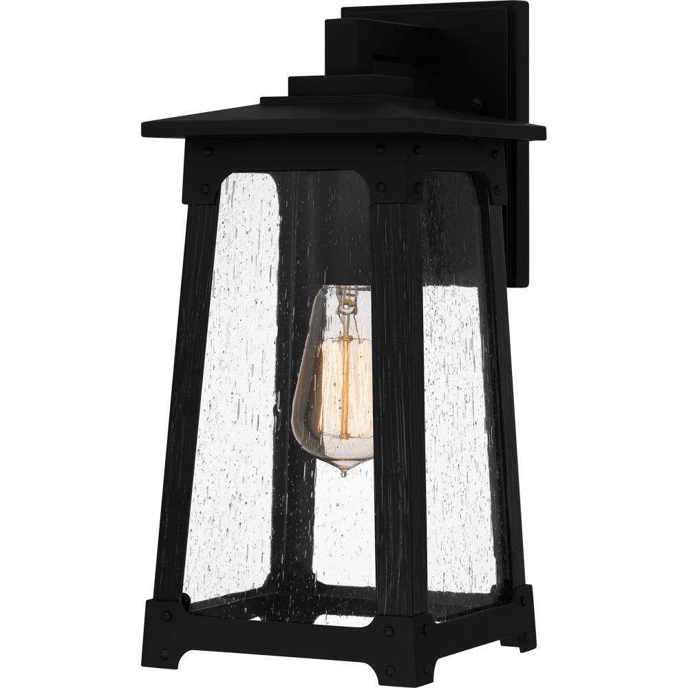 Drescher 1-Light Matte Black Outdoor Wall Lantern