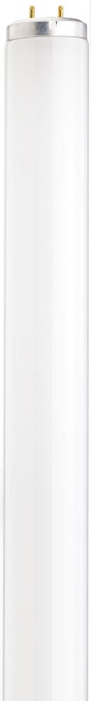 20 Watt; Fluorescent T12; 4100K; Medium Bi-pin (G13) Base