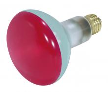 Satco Products Inc. S3240 - 75 Watt BR30 Incandescent; Red; 2000 Average rated hours; Medium base; 130 Volt