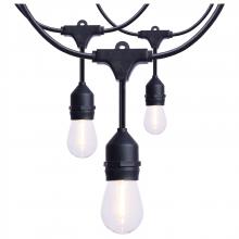 Satco Products Inc. S8032R1 - 60 Foot LED String Light; 24-S14 Lamps; Medium Base; 2200K CCT; Black