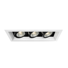 Eurofase TE163-02 - MULT,PAR20,TRM,3LT,50W,WH/BLK