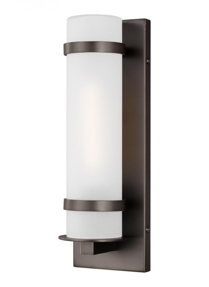 Alban Small One Light Outdoor Wall Lantern