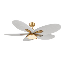 Minka-Aire F764L-LBR - Saltcress 60" 5CCT LED Smart Ceiling Fan