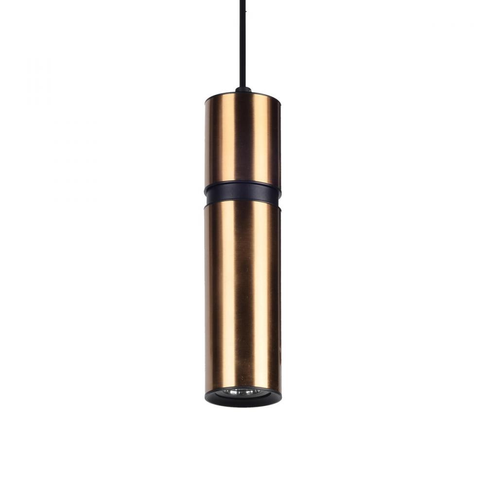 Cicada 1 Light Pentant Smooth Brass With Black