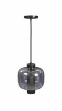 Avenue Lighting HF7810-GM - Cosmopolitan 10" Pendant in Gunmetal with Clear Glass