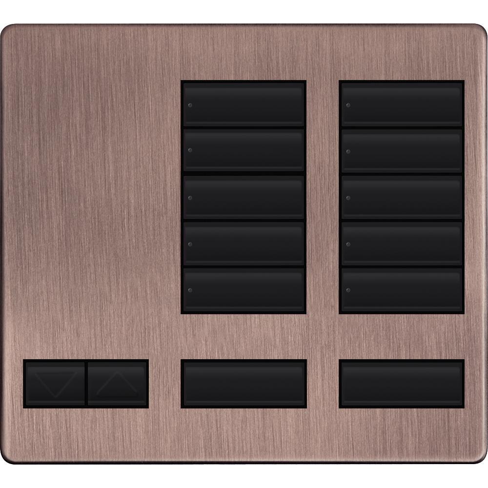 LARGE 10 BUTTON FACEPLATE KIT QZ