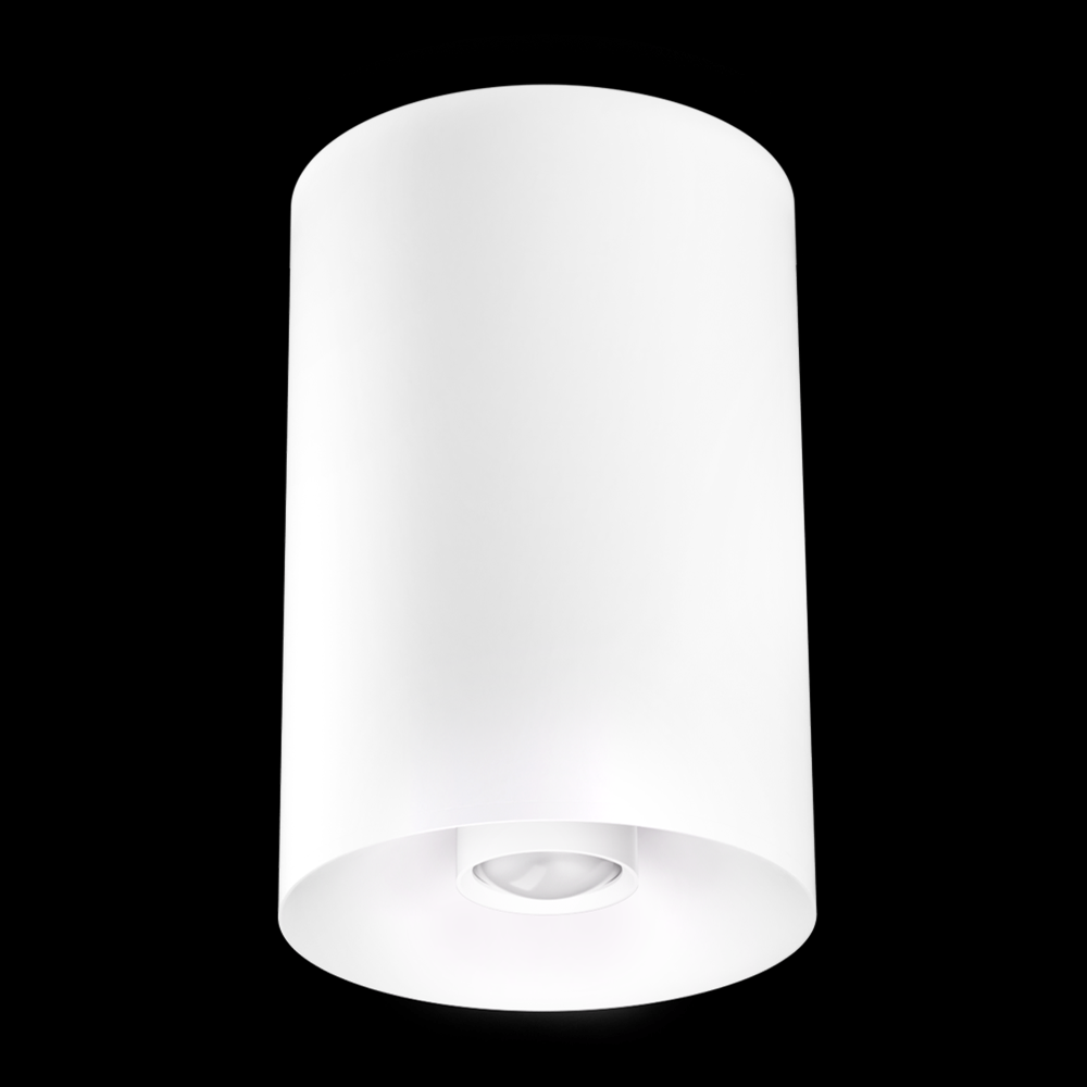 4" WHT SRFC MNT 18°-50°BM 750LM SSD