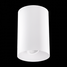 Elco Lighting E429FS-10CT5 - 4" ADJ SRFC MNT 38° 1000LM 5CCT SLVR