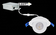 Elco Lighting ERT317CT5W - 3" LED ADJSTBL EYEBALL 6W 450LM 5CCT