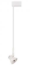 Elco Lighting ET534-48W - DISCON CLASP W/48" EXTNSN WHT