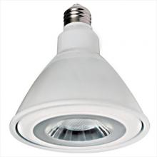 Elco Lighting PAR38FLD - LED Lamp