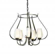 Hubbardton Forge 103045-SKT-05-ZS0354 - Flora 5 Arm Chandelier